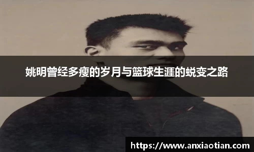 NG娱乐官网