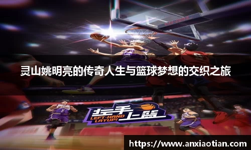 NG娱乐