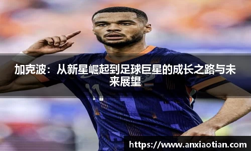 加克波：从新星崛起到足球巨星的成长之路与未来展望